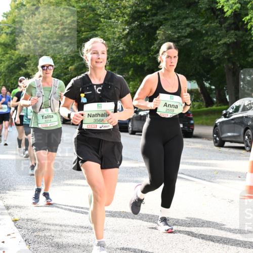 20.09.2026 - PSD Bank Halbmarathon Dr. Thomas Lammeyer http://msf.ph/oto/10500134 20.09.2026 10:52:03 Laufen 3314, 3568, 2559 meine-sportfotos.de