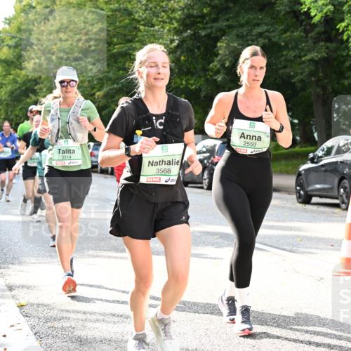 20.09.2026 - PSD Bank Halbmarathon Dr. Thomas Lammeyer http://msf.ph/oto/10500136 20.09.2026 10:52:03 Laufen 3314, 3568, 2559 meine-sportfotos.de