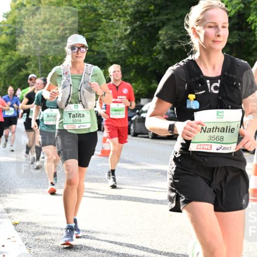 20.09.2026 - PSD Bank Halbmarathon Dr. Thomas Lammeyer http://msf.ph/oto/10500137 20.09.2026 10:52:04 Laufen 3314, 3568, 2559 meine-sportfotos.de