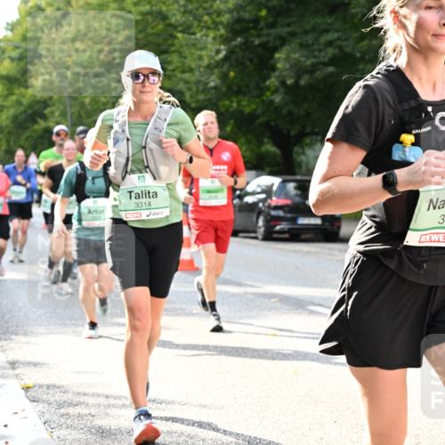 20.09.2026 - PSD Bank Halbmarathon Dr. Thomas Lammeyer http://msf.ph/oto/10500139 20.09.2026 10:52:04 Laufen 3314, 3568, 25 meine-sportfotos.de