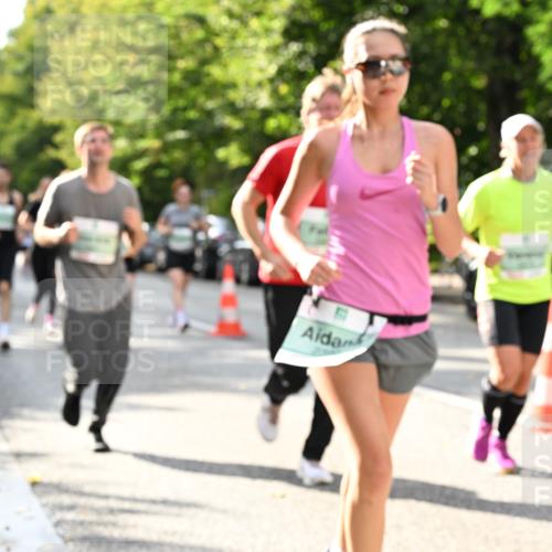 20.09.2026 - PSD Bank Halbmarathon Dr. Thomas Lammeyer http://msf.ph/oto/10500256 20.09.2026 10:52:19 Laufen  meine-sportfotos.de