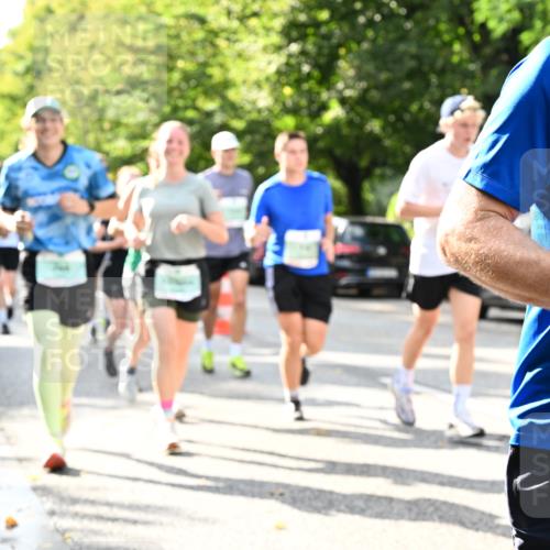 20.09.2026 - PSD Bank Halbmarathon Dr. Thomas Lammeyer http://msf.ph/oto/10500343 20.09.2026 10:52:29 Laufen 58 meine-sportfotos.de