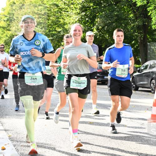 20.09.2026 - PSD Bank Halbmarathon Dr. Thomas Lammeyer http://msf.ph/oto/10500349 20.09.2026 10:52:30 Laufen 1940, 3487, 4266, 3486, 9, 2434, 2522, 250 meine-sportfotos.de