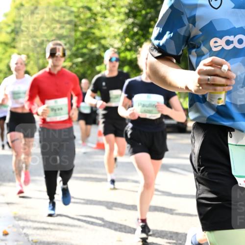 20.09.2026 - PSD Bank Halbmarathon Dr. Thomas Lammeyer http://msf.ph/oto/10500365 20.09.2026 10:52:31 Laufen 3487 meine-sportfotos.de