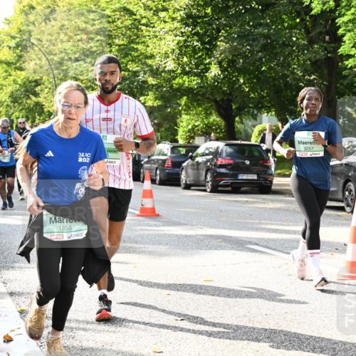 20.09.2026 - PSD Bank Halbmarathon Dr. Thomas Lammeyer http://msf.ph/oto/10500394 20.09.2026 10:52:35 Laufen 1927, 33, 202, 1858, 3257 meine-sportfotos.de
