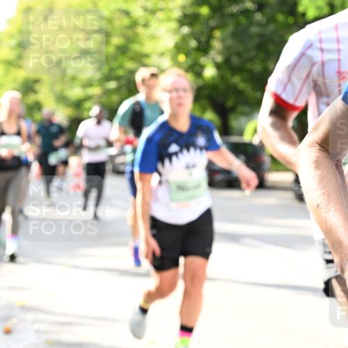 20.09.2026 - PSD Bank Halbmarathon Dr. Thomas Lammeyer http://msf.ph/oto/10500409 20.09.2026 10:52:36 Laufen  meine-sportfotos.de