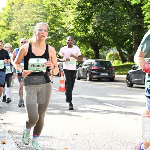 20.09.2026 - PSD Bank Halbmarathon Dr. Thomas Lammeyer http://msf.ph/oto/10500421 20.09.2026 10:52:38 Laufen 3400, 1578, 2238 meine-sportfotos.de