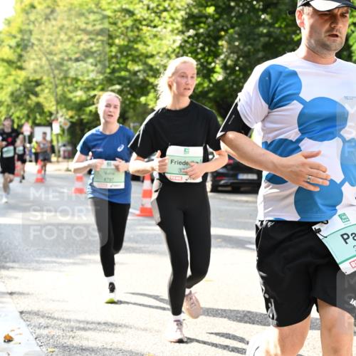 20.09.2026 - PSD Bank Halbmarathon Dr. Thomas Lammeyer http://msf.ph/oto/10500494 20.09.2026 10:52:50 Laufen 4797, 3, 2761, 3792 meine-sportfotos.de