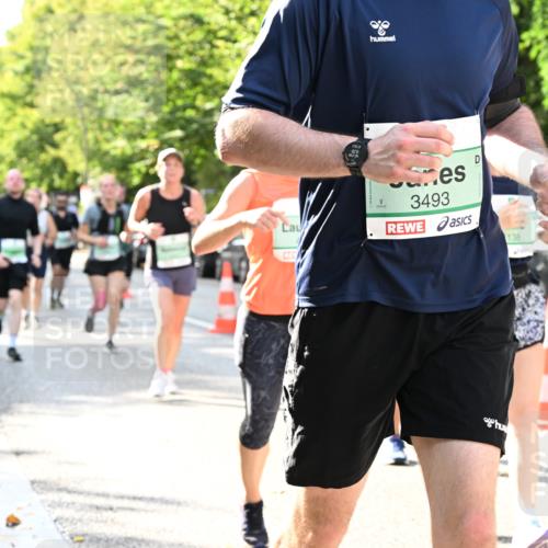 20.09.2026 - PSD Bank Halbmarathon Dr. Thomas Lammeyer http://msf.ph/oto/10500660 20.09.2026 10:53:10 Laufen 53819, 3493, 138 meine-sportfotos.de