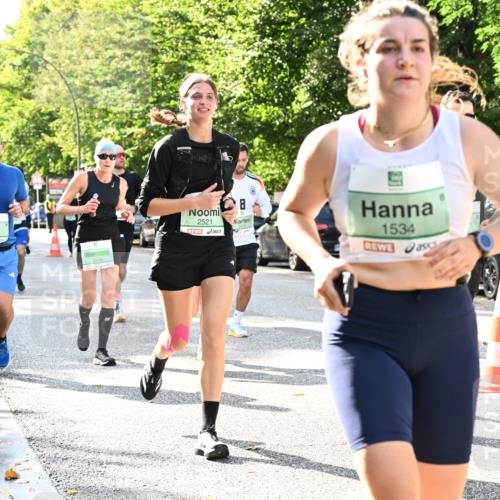 20.09.2026 - PSD Bank Halbmarathon Dr. Thomas Lammeyer http://msf.ph/oto/10500699 20.09.2026 10:53:16 Laufen 2126, 3318, 2521, 2172, 1534 meine-sportfotos.de