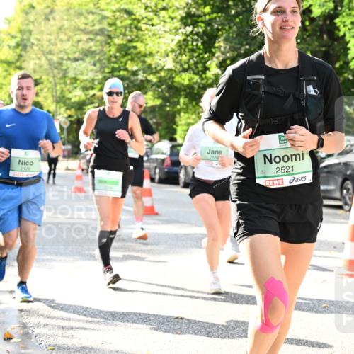 20.09.2026 - PSD Bank Halbmarathon Dr. Thomas Lammeyer http://msf.ph/oto/10500706 20.09.2026 10:53:17 Laufen 2126, 3318, 2856, 2521 meine-sportfotos.de