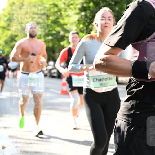 20.09.2026 - PSD Bank Halbmarathon Dr. Thomas Lammeyer http://msf.ph/oto/10500771 20.09.2026 10:53:29 Laufen 3680, 4085 meine-sportfotos.de