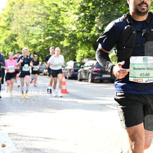 20.09.2026 - PSD Bank Halbmarathon Dr. Thomas Lammeyer http://msf.ph/oto/10500808 20.09.2026 10:53:34 Laufen 4548 meine-sportfotos.de