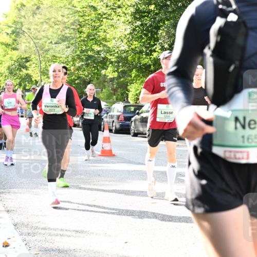 20.09.2026 - PSD Bank Halbmarathon Dr. Thomas Lammeyer http://msf.ph/oto/10500833 20.09.2026 10:53:39 Laufen 2072, 1299, 1657 meine-sportfotos.de
