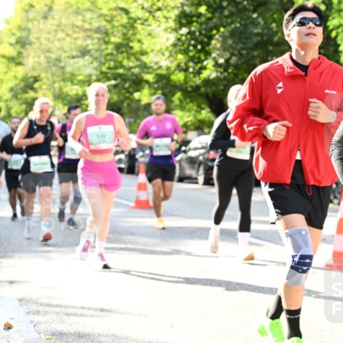 20.09.2026 - PSD Bank Halbmarathon Dr. Thomas Lammeyer http://msf.ph/oto/10500856 20.09.2026 10:53:41 Laufen 20 meine-sportfotos.de