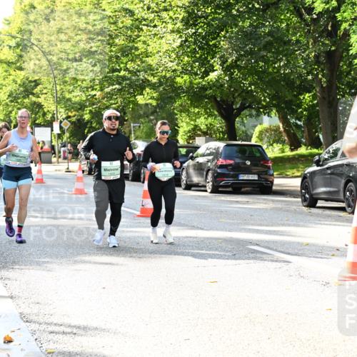 20.09.2026 - PSD Bank Halbmarathon Dr. Thomas Lammeyer http://msf.ph/oto/10500919 20.09.2026 10:53:50 Laufen 1420, 1419, 4683, 1667 meine-sportfotos.de