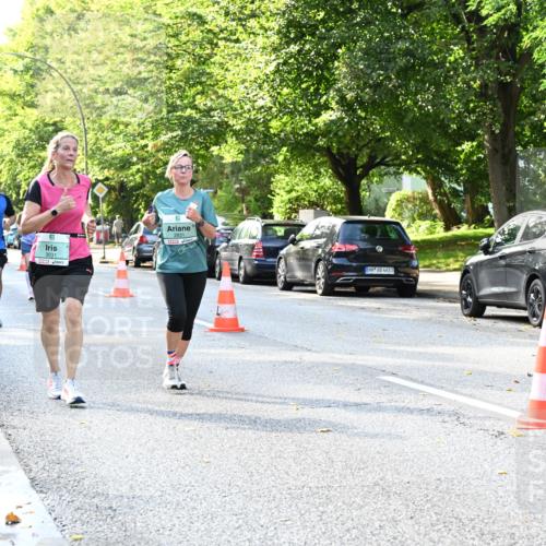 20.09.2026 - PSD Bank Halbmarathon Dr. Thomas Lammeyer http://msf.ph/oto/10500962 20.09.2026 10:54:03 Laufen 3031, 2831, 4683 meine-sportfotos.de