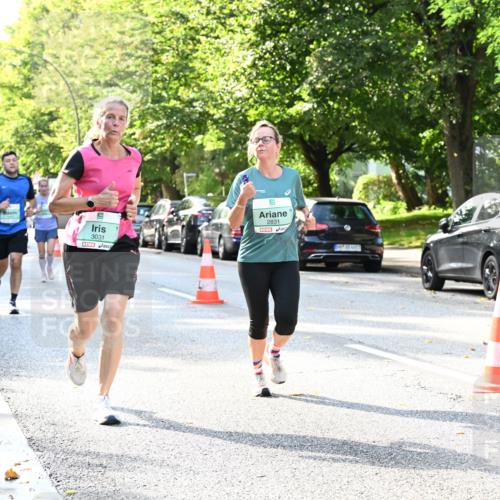 20.09.2026 - PSD Bank Halbmarathon Dr. Thomas Lammeyer http://msf.ph/oto/10500972 20.09.2026 10:54:04 Laufen 3031, 9, 2831 meine-sportfotos.de