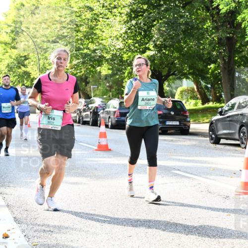 20.09.2026 - PSD Bank Halbmarathon Dr. Thomas Lammeyer http://msf.ph/oto/10500974 20.09.2026 10:54:04 Laufen 3031, 5, 2831, 4683 meine-sportfotos.de