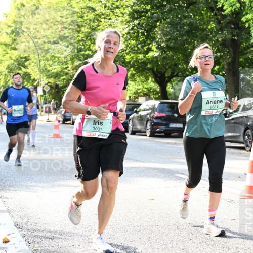 20.09.2026 - PSD Bank Halbmarathon Dr. Thomas Lammeyer http://msf.ph/oto/10500980 20.09.2026 10:54:05 Laufen 3031, 2831 meine-sportfotos.de