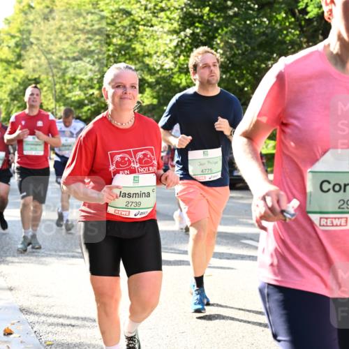 20.09.2026 - PSD Bank Halbmarathon Dr. Thomas Lammeyer http://msf.ph/oto/10501076 20.09.2026 10:54:16 Laufen 2739, 4775, 2943 meine-sportfotos.de