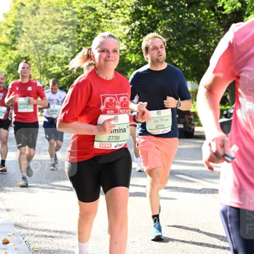20.09.2026 - PSD Bank Halbmarathon Dr. Thomas Lammeyer http://msf.ph/oto/10501077 20.09.2026 10:54:16 Laufen 2739, 4775, 2943 meine-sportfotos.de