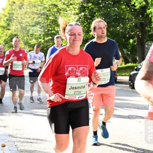 20.09.2026 - PSD Bank Halbmarathon Dr. Thomas Lammeyer http://msf.ph/oto/10501078 20.09.2026 10:54:16 Laufen 775, 2739 meine-sportfotos.de