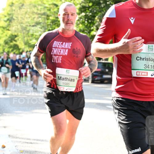 20.09.2026 - PSD Bank Halbmarathon Dr. Thomas Lammeyer http://msf.ph/oto/10501096 20.09.2026 10:54:19 Laufen 3416, 1585 meine-sportfotos.de