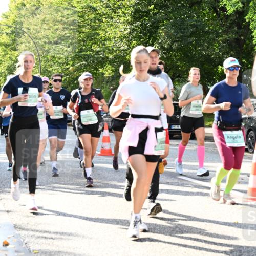 20.09.2026 - PSD Bank Halbmarathon Dr. Thomas Lammeyer http://msf.ph/oto/10501139 20.09.2026 10:54:26 Laufen 4 meine-sportfotos.de
