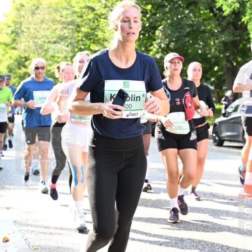 20.09.2026 - PSD Bank Halbmarathon Dr. Thomas Lammeyer http://msf.ph/oto/10501148 20.09.2026 10:54:27 Laufen 4283, 500, 88, 1380, 4677 meine-sportfotos.de