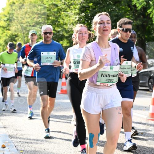 20.09.2026 - PSD Bank Halbmarathon Dr. Thomas Lammeyer http://msf.ph/oto/10501152 20.09.2026 10:54:28 Laufen 2905, 23, 4283, 1886 meine-sportfotos.de