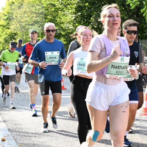 20.09.2026 - PSD Bank Halbmarathon Dr. Thomas Lammeyer http://msf.ph/oto/10501153 20.09.2026 10:54:28 Laufen 4370, 4424, 2905, 2340, 4283, 1886 meine-sportfotos.de