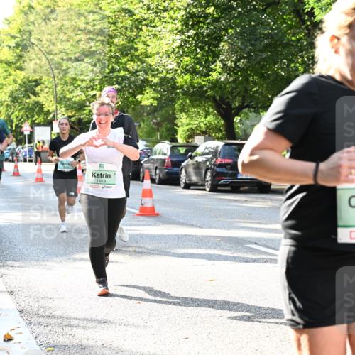 20.09.2026 - PSD Bank Halbmarathon Dr. Thomas Lammeyer http://msf.ph/oto/10501238 20.09.2026 10:54:42 Laufen 1, 1463, 1832 meine-sportfotos.de