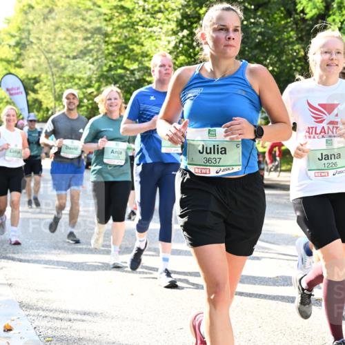 20.09.2026 - PSD Bank Halbmarathon Dr. Thomas Lammeyer http://msf.ph/oto/10501354 20.09.2026 10:55:00 Laufen 3637, 1226 meine-sportfotos.de