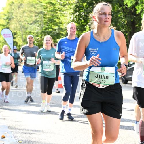 20.09.2026 - PSD Bank Halbmarathon Dr. Thomas Lammeyer http://msf.ph/oto/10501355 20.09.2026 10:55:00 Laufen 3637, 3510, 1226 meine-sportfotos.de
