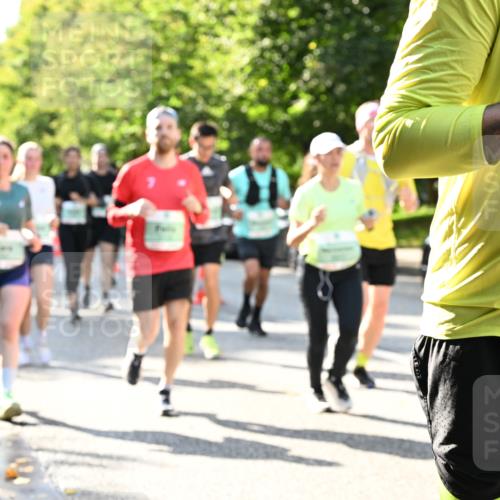20.09.2026 - PSD Bank Halbmarathon Dr. Thomas Lammeyer http://msf.ph/oto/10501396 20.09.2026 10:55:07 Laufen 175 meine-sportfotos.de