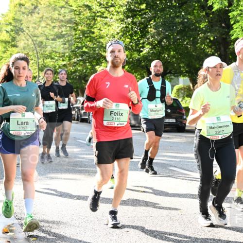 20.09.2026 - PSD Bank Halbmarathon Dr. Thomas Lammeyer http://msf.ph/oto/10501400 20.09.2026 10:55:07 Laufen 1357, 7, 2116, 2917 meine-sportfotos.de