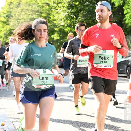 20.09.2026 - PSD Bank Halbmarathon Dr. Thomas Lammeyer http://msf.ph/oto/10501407 20.09.2026 10:55:08 Laufen 1357, 1030, 7, 2116 meine-sportfotos.de