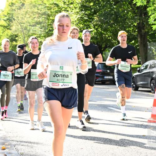 20.09.2026 - PSD Bank Halbmarathon Dr. Thomas Lammeyer http://msf.ph/oto/10501418 20.09.2026 10:55:09 Laufen 1203, 23, 4077, 367, 1270 meine-sportfotos.de