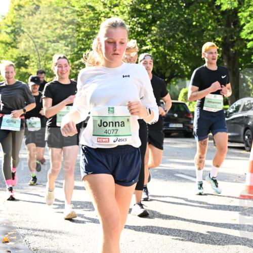 20.09.2026 - PSD Bank Halbmarathon Dr. Thomas Lammeyer http://msf.ph/oto/10501419 20.09.2026 10:55:10 Laufen 1203, 4077, 1270 meine-sportfotos.de