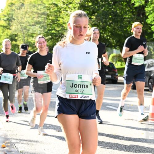 20.09.2026 - PSD Bank Halbmarathon Dr. Thomas Lammeyer http://msf.ph/oto/10501420 20.09.2026 10:55:10 Laufen 1200, 2315, 1270, 4077 meine-sportfotos.de