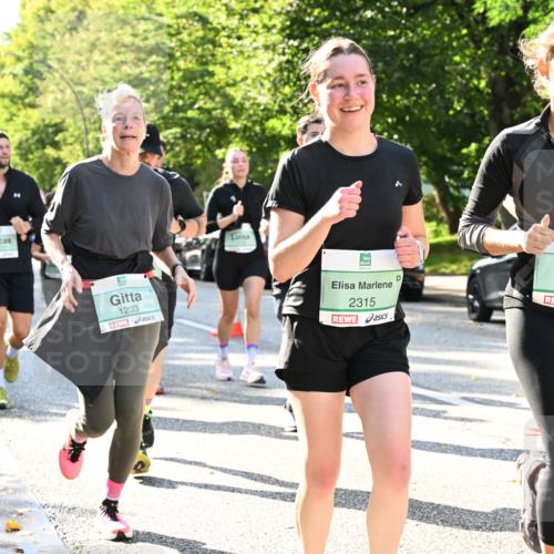 20.09.2026 - PSD Bank Halbmarathon Dr. Thomas Lammeyer http://msf.ph/oto/10501427 20.09.2026 10:55:11 Laufen 4171, 1203, 2315, 3367 meine-sportfotos.de