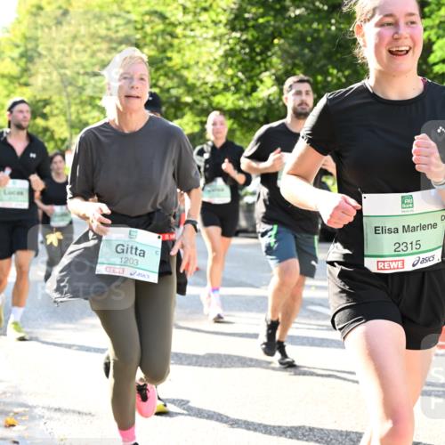 20.09.2026 - PSD Bank Halbmarathon Dr. Thomas Lammeyer http://msf.ph/oto/10501429 20.09.2026 10:55:11 Laufen 1203, 2315 meine-sportfotos.de