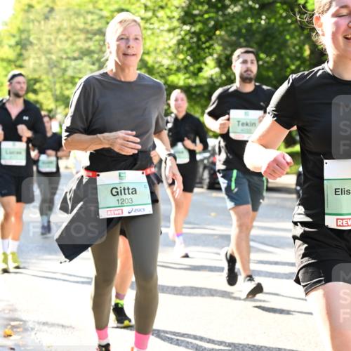 20.09.2026 - PSD Bank Halbmarathon Dr. Thomas Lammeyer http://msf.ph/oto/10501430 20.09.2026 10:55:11 Laufen 1203, 4055, 2315 meine-sportfotos.de