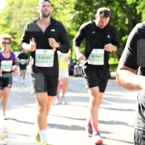 20.09.2026 - PSD Bank Halbmarathon Dr. Thomas Lammeyer http://msf.ph/oto/10501442 20.09.2026 10:55:13 Laufen 199 meine-sportfotos.de