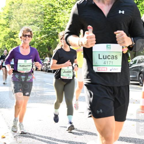 20.09.2026 - PSD Bank Halbmarathon Dr. Thomas Lammeyer http://msf.ph/oto/10501447 20.09.2026 10:55:14 Laufen 3503, 1190, 4171, 1171 meine-sportfotos.de