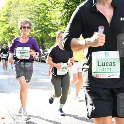 20.09.2026 - PSD Bank Halbmarathon Dr. Thomas Lammeyer http://msf.ph/oto/10501448 20.09.2026 10:55:14 Laufen 3503, 1190, 4171 meine-sportfotos.de
