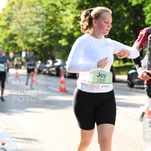 20.09.2026 - PSD Bank Halbmarathon Dr. Thomas Lammeyer http://msf.ph/oto/10501495 20.09.2026 10:55:22 Laufen 2556, 4675 meine-sportfotos.de