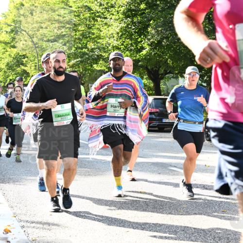 20.09.2026 - PSD Bank Halbmarathon Dr. Thomas Lammeyer http://msf.ph/oto/10501587 20.09.2026 10:55:37 Laufen 4693, 3694, 2114 meine-sportfotos.de