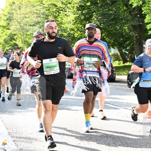 20.09.2026 - PSD Bank Halbmarathon Dr. Thomas Lammeyer http://msf.ph/oto/10501590 20.09.2026 10:55:38 Laufen 217, 4693, 3694 meine-sportfotos.de